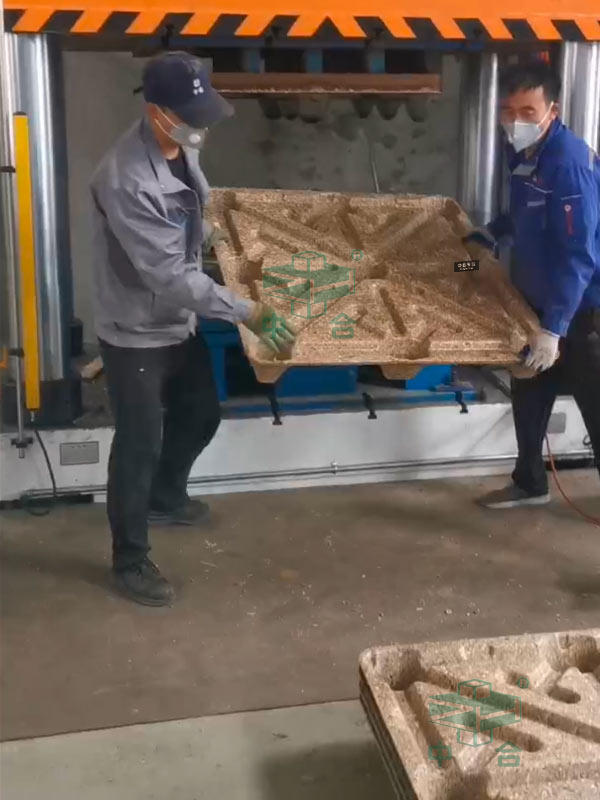 木屑托盤.jpg 木屑托盤.jpg